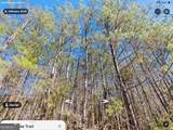 110 Bunnie Trail - Photo 6