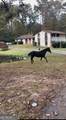 331 Belair Drive - Photo 13