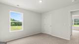 310 Duckweed Drive - Photo 28