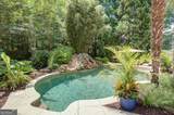 180 Shoreline Circle - Photo 66