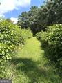 725 Musgrove Road - Photo 48