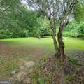 77 Pierce Road - Photo 24