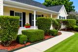 904 Meadow Walk Drive - Photo 39