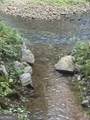 531 Hidden Valley Road - Photo 4