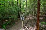52 Swallow Point - Photo 48