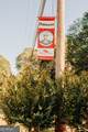 266 Wingate Drive - Photo 60