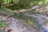 1800 Elder Mill Road - Photo 62