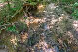 1800 Elder Mill Road - Photo 66
