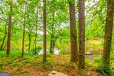 3316 Harvester Woods Road - Photo 80
