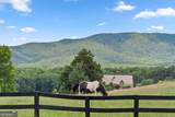 169 Magnificent Way - Photo 42