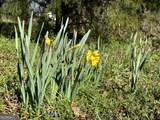 9822 Jones Street - Photo 40