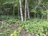 LOT 188 Northshore At Redwine Drive - Photo 35