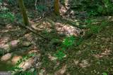 750 Seye Wailo Trail - Photo 63