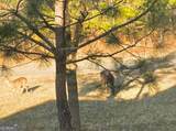 309 Briarwood Trail - Photo 9