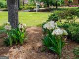 110 Holly Drive - Photo 4