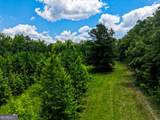 1202 Eddie Martin Road - Photo 24