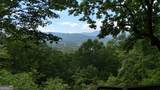 1491 Black Branch Road - Photo 59