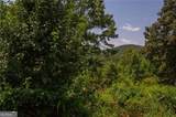 LOT A Porter Springs Road - Photo 6