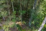 TRACT C Hicks Ford Road - Photo 17