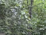0 Crystal Lake Road - Photo 7