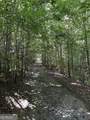 305 Wildcat Road - Photo 2