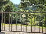305 Laurel Springs/Opossum - Photo 5