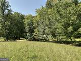 305 Laurel Springs/Opossum - Photo 6