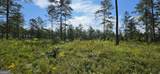 LOT 65 High River Landing - Photo 4