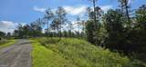 LOT 65 High River Landing - Photo 5