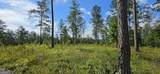 LOT 65 High River Landing - Photo 8