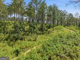 LOT 28 Hillside Lane - Photo 11