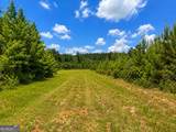 47 ACRES Cochran Road - Photo 10
