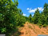 47 ACRES Cochran Road - Photo 17