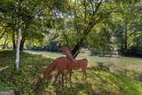 2 Weymans Way - Photo 31