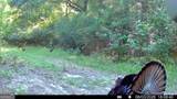 0 Barentine Rd - Photo 13