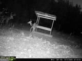 0 Barentine Rd - Photo 14