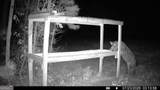 0 Barentine Rd - Photo 15