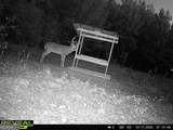 0 Barentine Rd - Photo 2