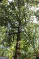 0 Barentine Rd - Photo 28