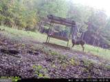 0 Barentine Rd - Photo 3