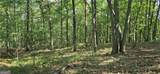 1356 Firetower Road - Photo 9