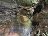 7.65 ACRES Baker Rd - Photo 22