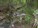 0 Rabbit Farm Road - Photo 11