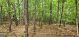 0 Rabbit Farm Road - Photo 16