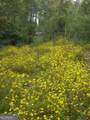 0 Rabbit Farm Road - Photo 2