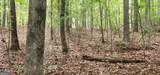 0 Rabbit Farm Road - Photo 25