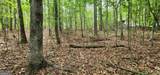 0 Rabbit Farm Road - Photo 26