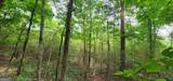 0 Rabbit Farm Road - Photo 29