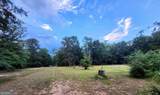 482 Campers Haven Road - Photo 3