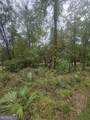 0 Morris Landing Road - Photo 3